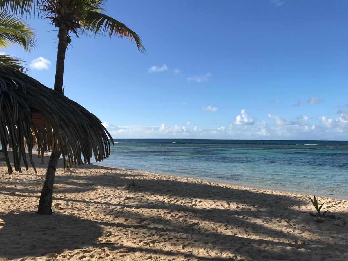 Brin D'Ile Anse Des Rochers Vue Mer A 50 M De La Plage Et Piscine Saint-Francois  Exteriör bild