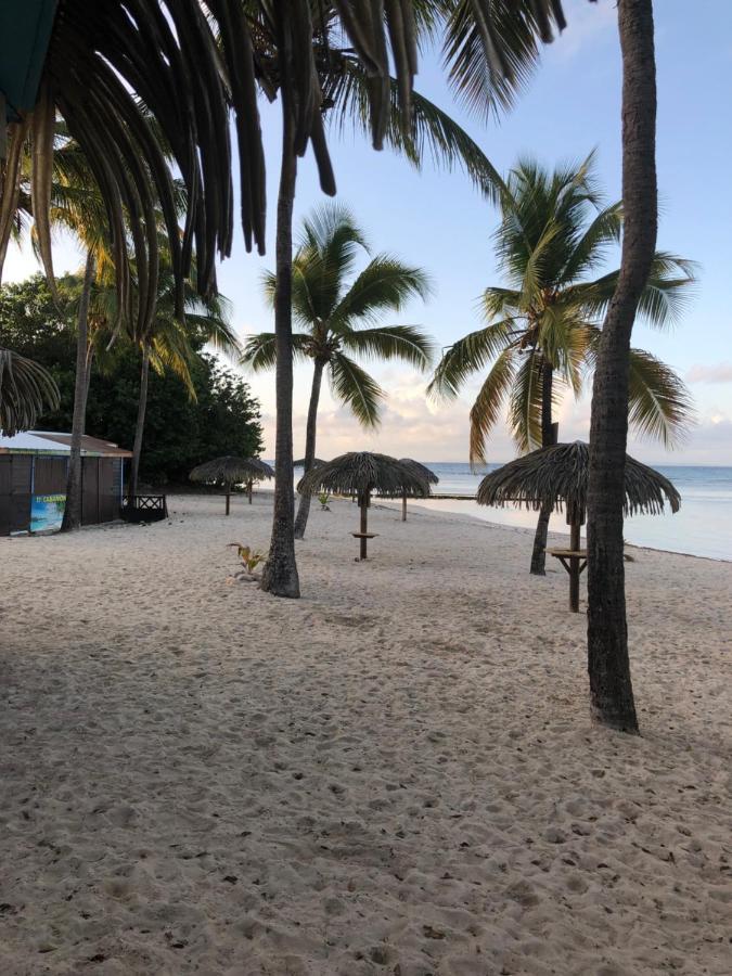 Brin D'Ile Anse Des Rochers Vue Mer A 50 M De La Plage Et Piscine Saint-Francois  Exteriör bild