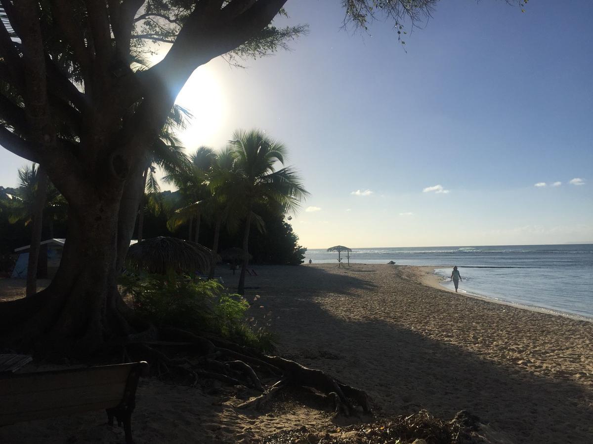 Brin D'Ile Anse Des Rochers Vue Mer A 50 M De La Plage Et Piscine Saint-Francois  Exteriör bild