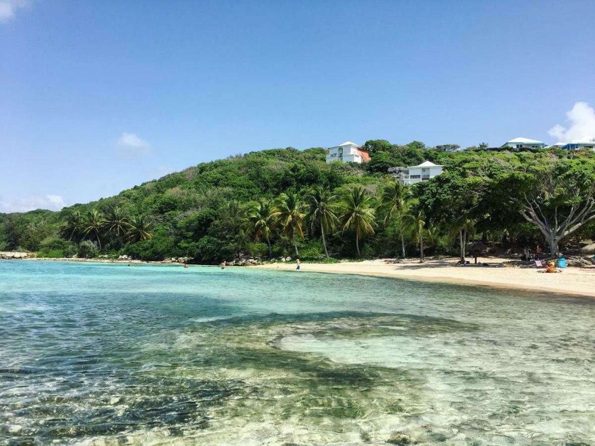 Brin D'Ile Anse Des Rochers Vue Mer A 50 M De La Plage Et Piscine Saint-Francois  Exteriör bild