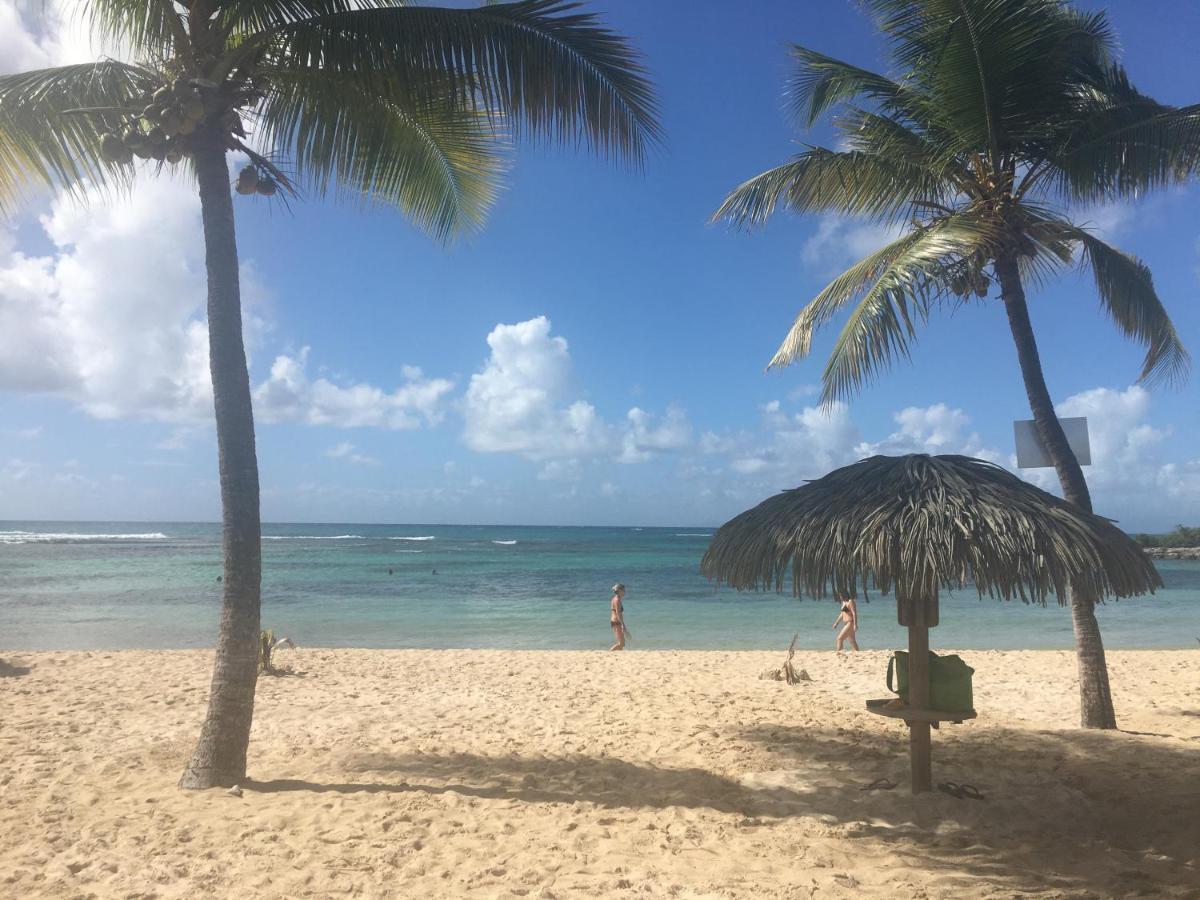 Brin D'Ile Anse Des Rochers Vue Mer A 50 M De La Plage Et Piscine Saint-Francois  Exteriör bild